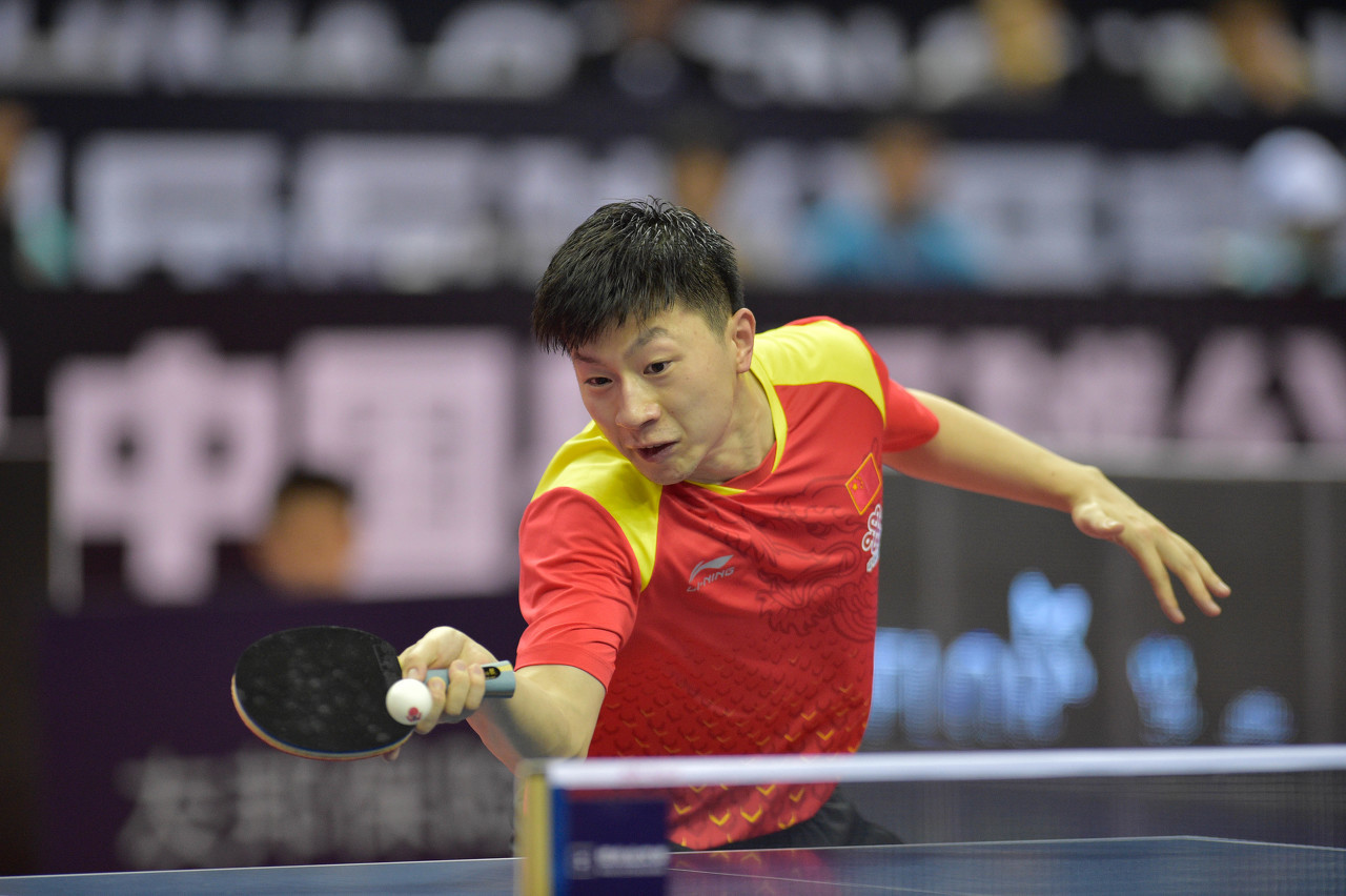 文化活动 文化活动