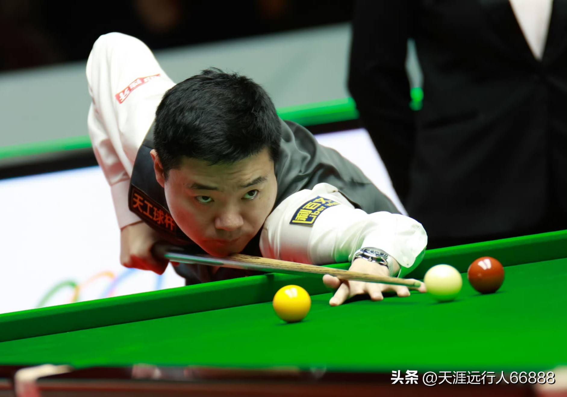 水库生态 水库生态