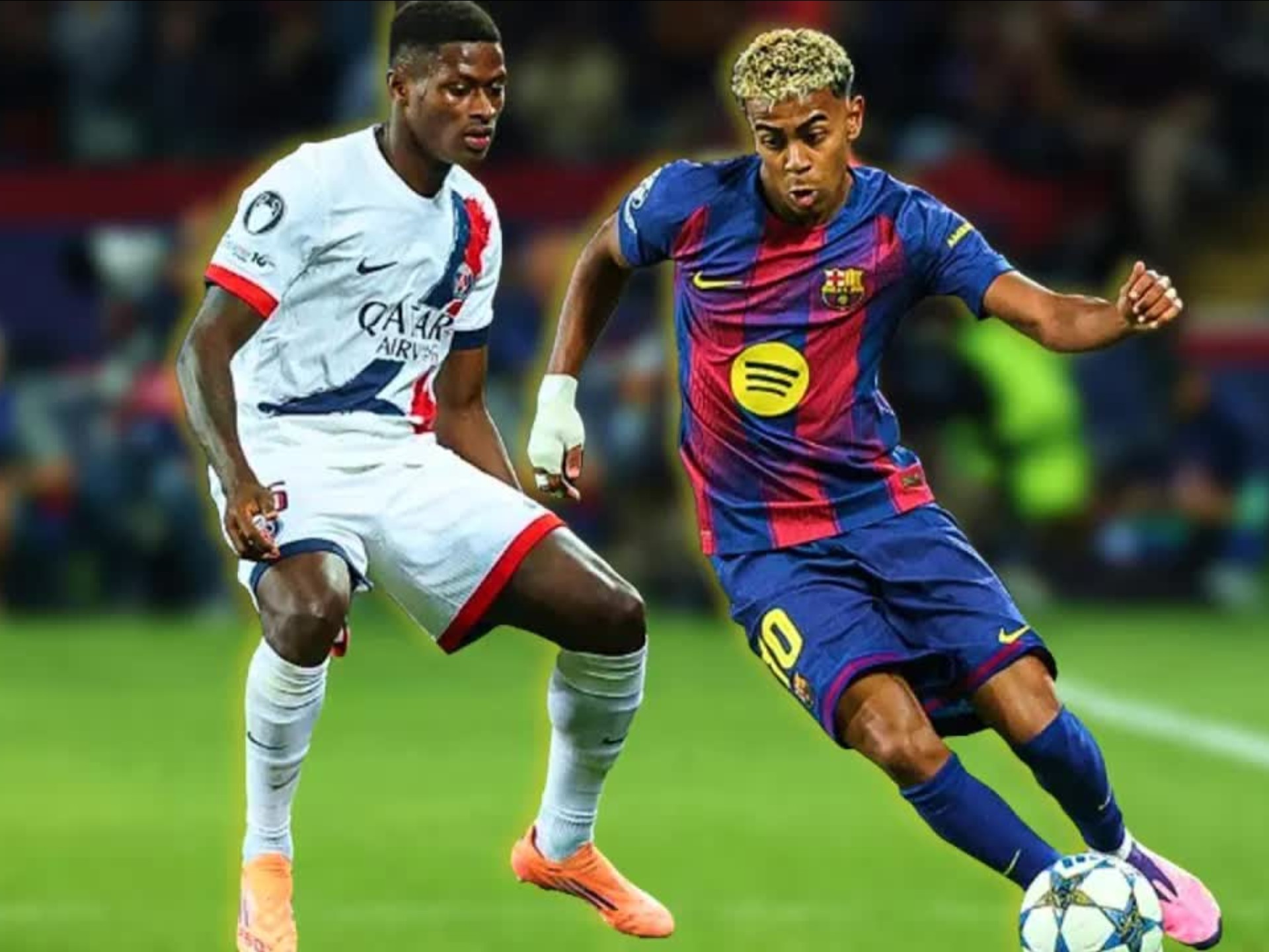 注或夸张的 注或夸张的