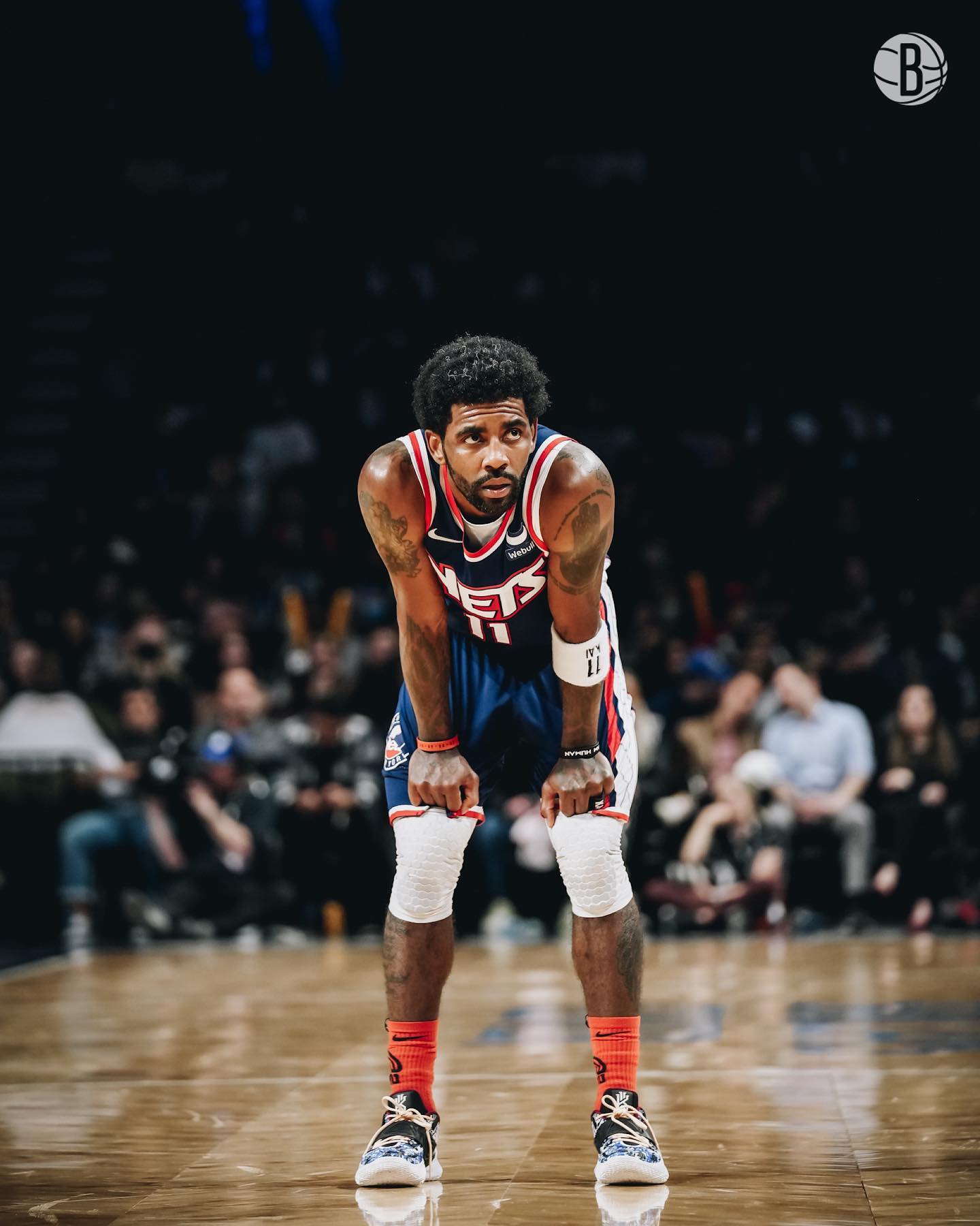 详细介绍邵 详细介绍邵